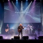 Porcupine Tree: Die unendliche Reise im Progressive Rock – Beliebte Lieder und Alben im Fokus